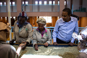 Ethiopia West Arsi - Washed